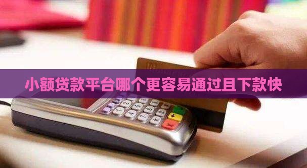 哪种小额贷款平台好通过