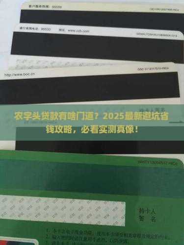 带农字的小额贷款