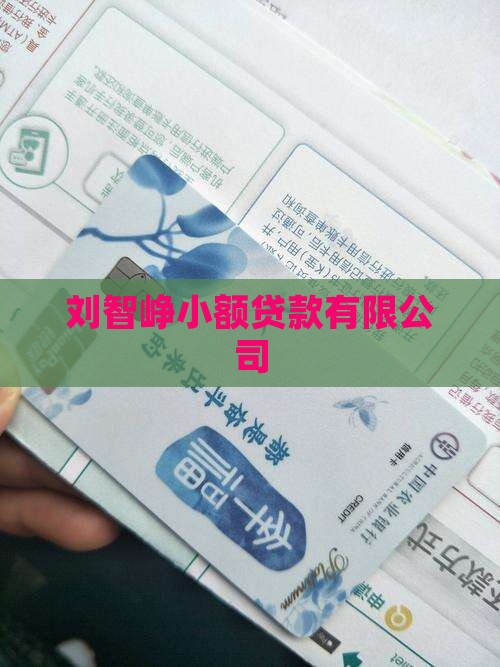 刘智峥小额贷款