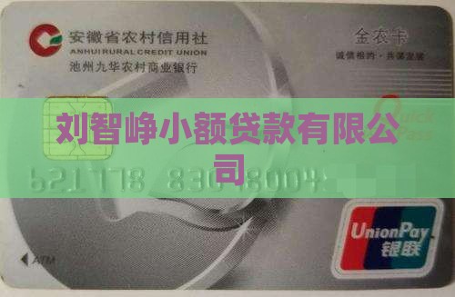 刘智峥小额贷款