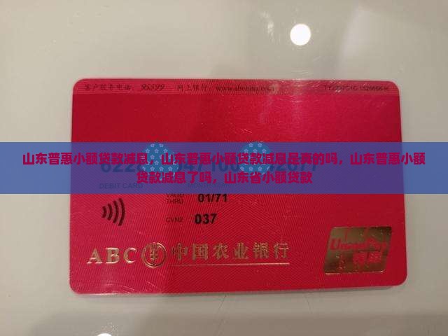 山东普惠小额贷款减息