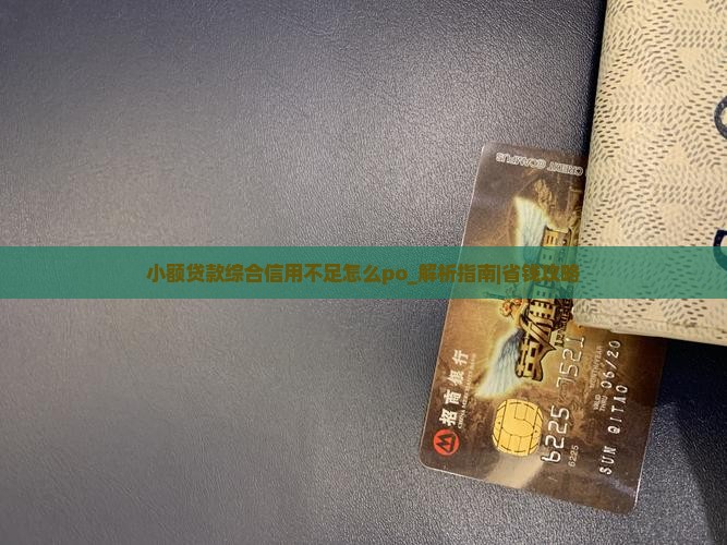 小额贷款综合信用不足怎么po