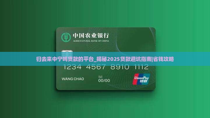 归去来中宁鸣贷款的平台