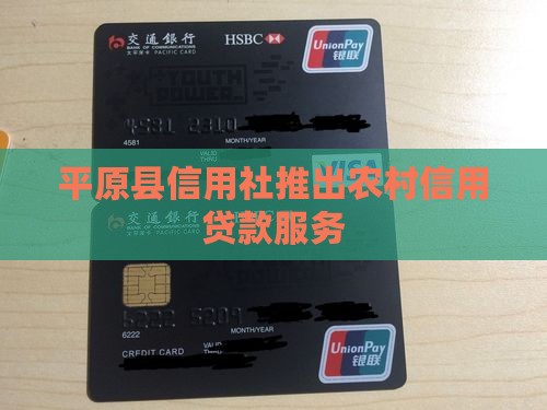 平原县信用社信用贷款
