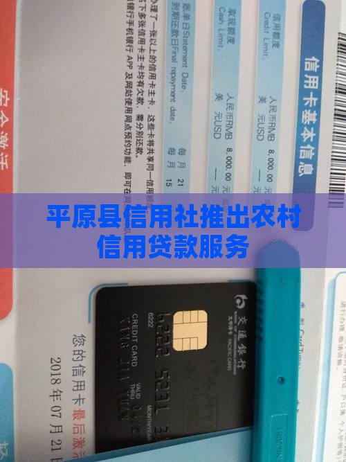 平原县信用社信用贷款
