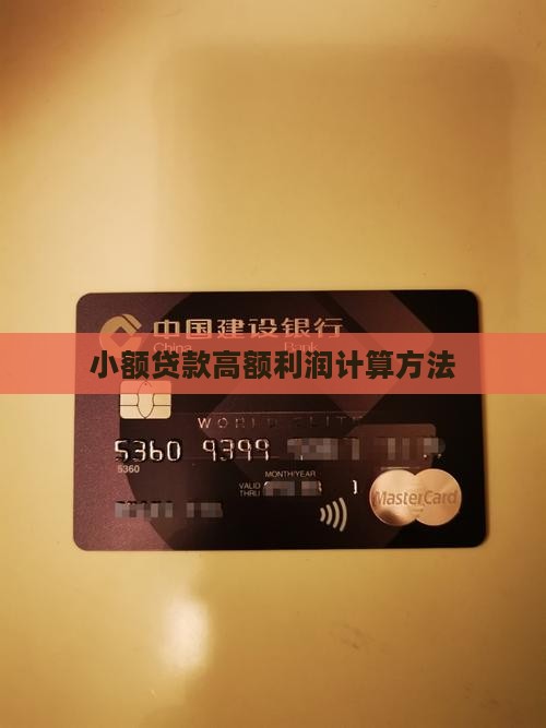 小额贷款高额利润怎么算