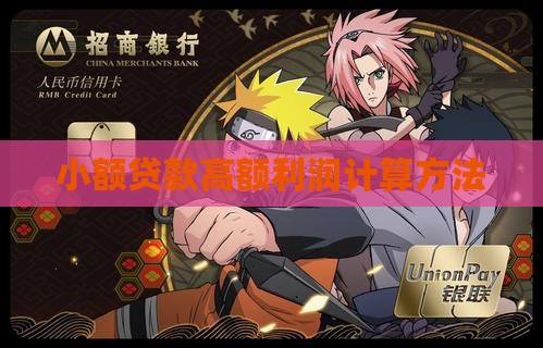 小额贷款高额利润怎么算