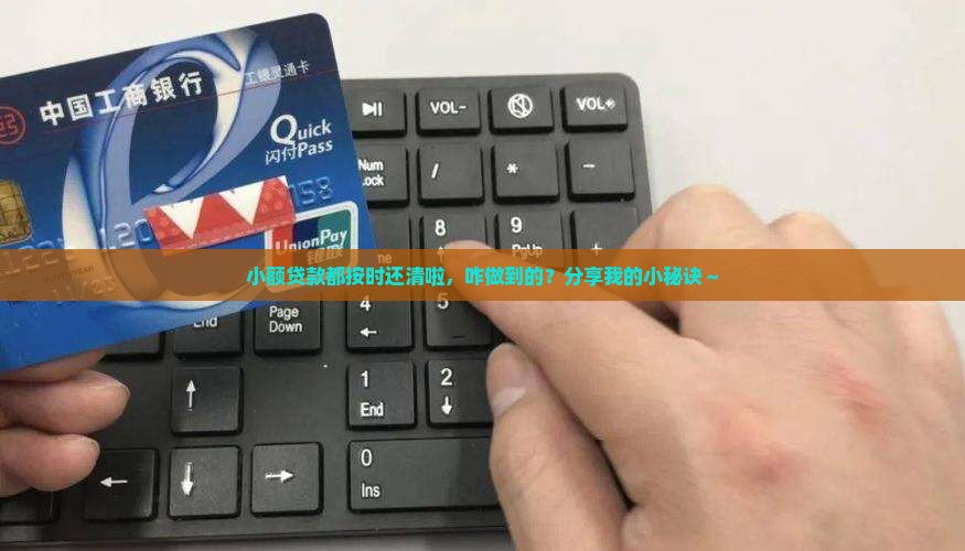 小额贷款多按时还清了