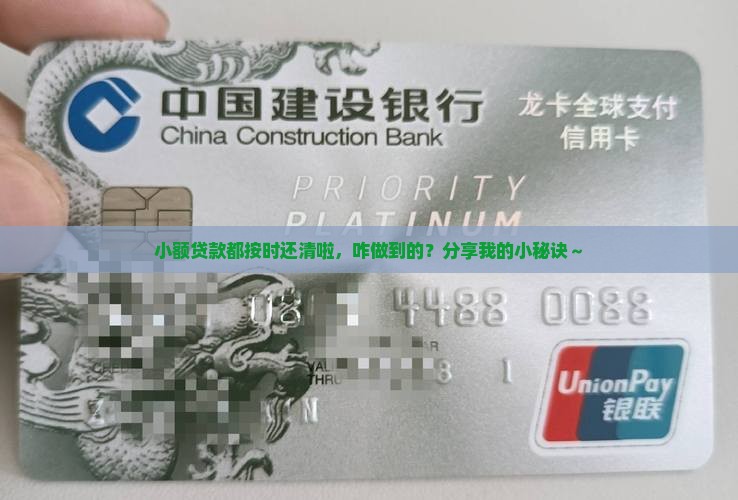 小额贷款多按时还清了