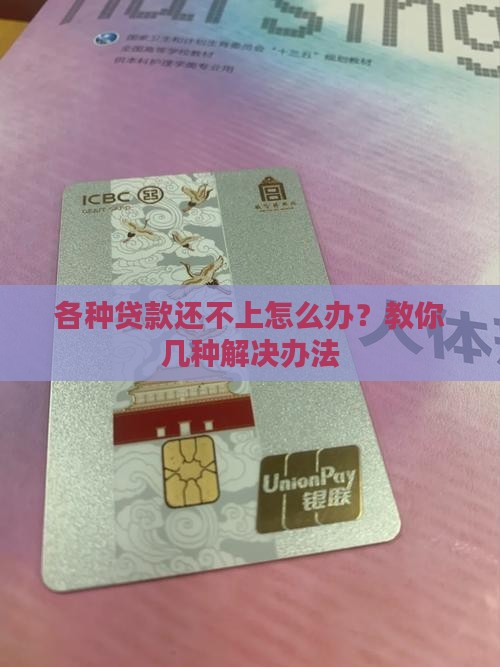 各种贷款还不了