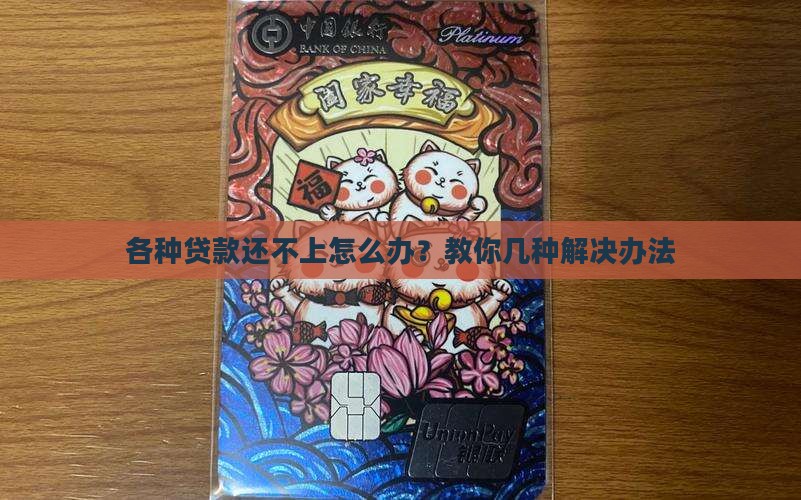 各种贷款还不了