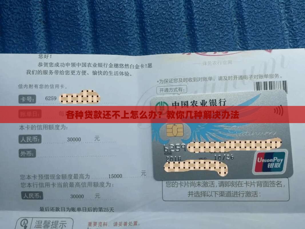 各种贷款还不了