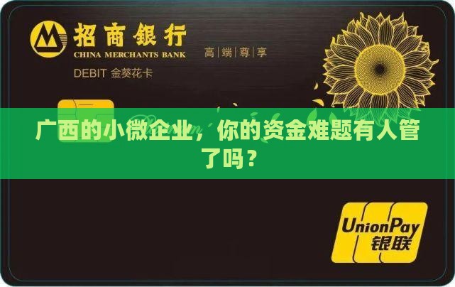 广西银行小微贷款
