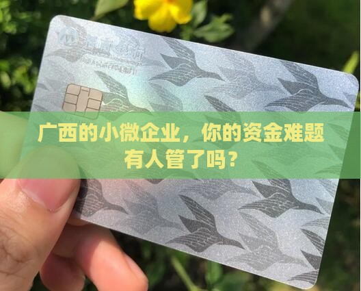 广西银行小微贷款
