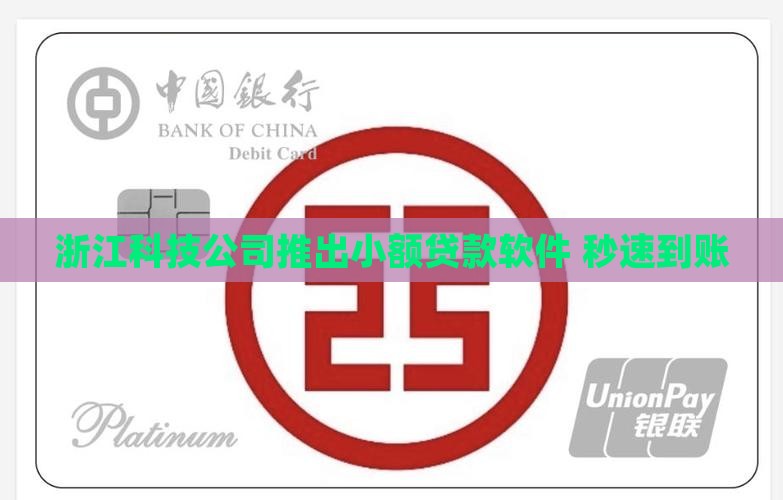 小额贷款秒速到账软件