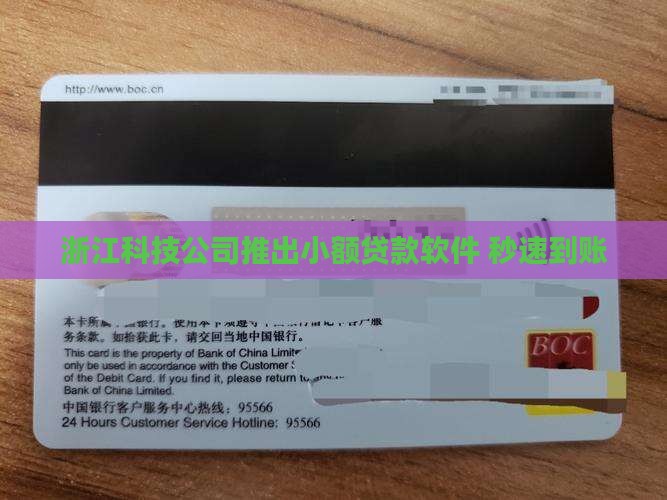 小额贷款秒速到账软件