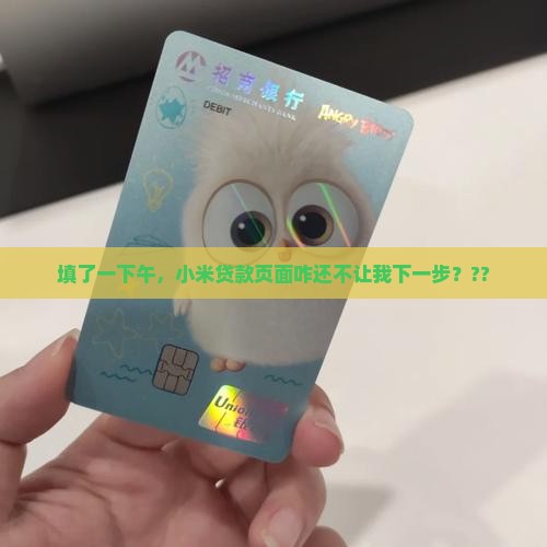 小米贷款填写下一步不动