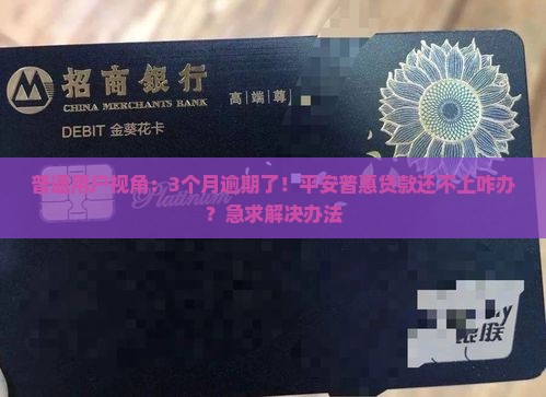 平安普惠贷款逾期还价