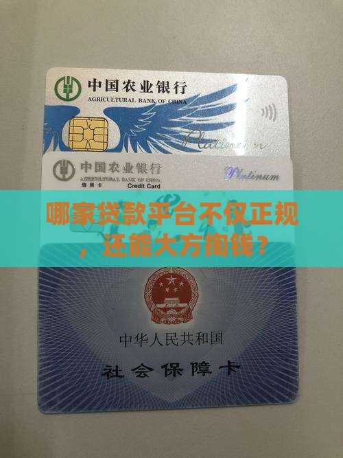 哪个贷款平台正规钱多