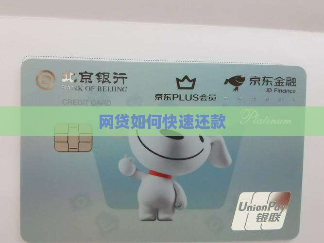 如何快速还网络贷款