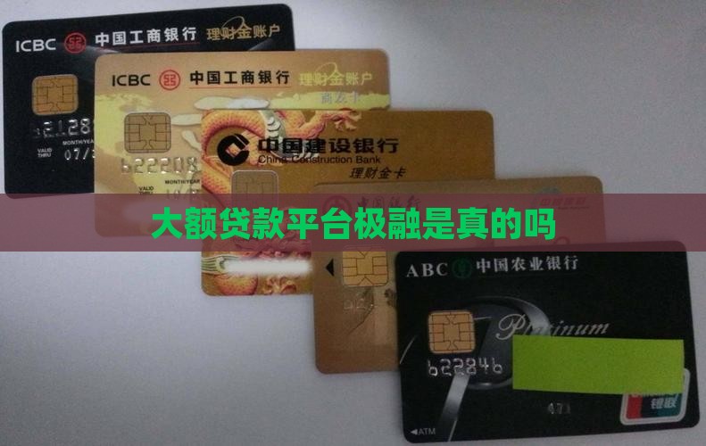 大额贷款平台极融