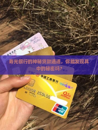寿光银行渠道贷款