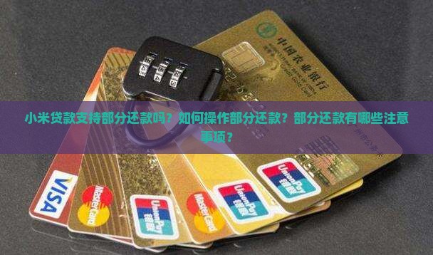 小米贷款可以部分还款吗