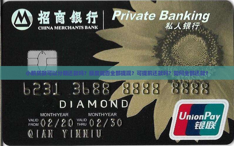 小鹅贷款可以分期还款吗