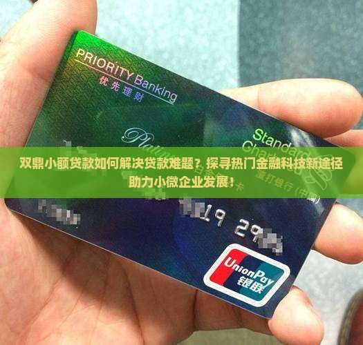 双鼎小额贷款