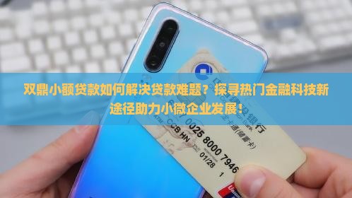 双鼎小额贷款