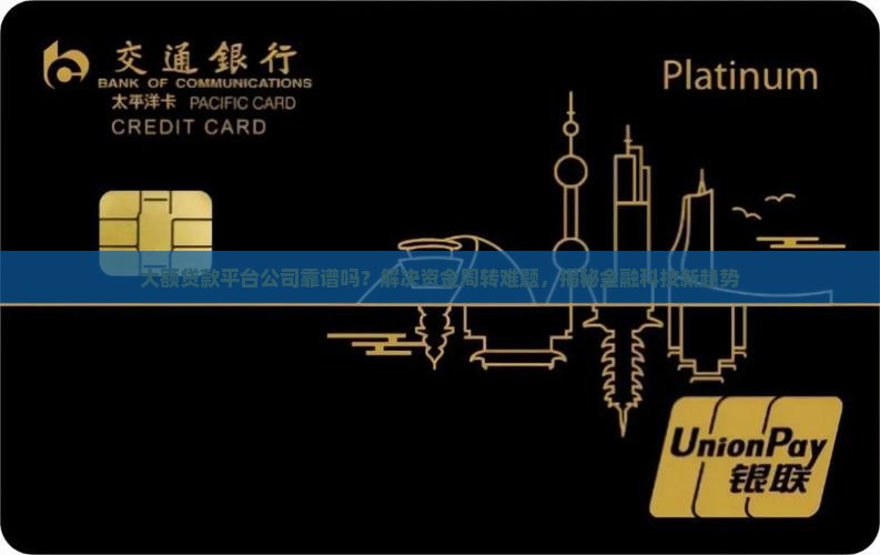大额贷款平台公司