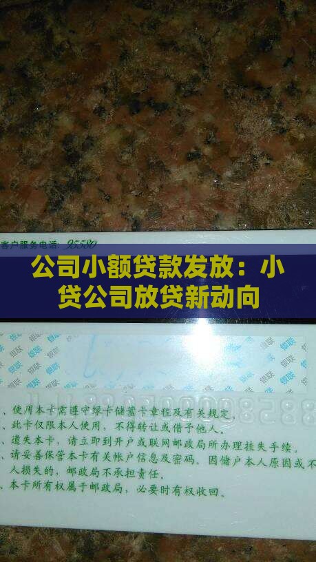 向小贷公司发放贷款