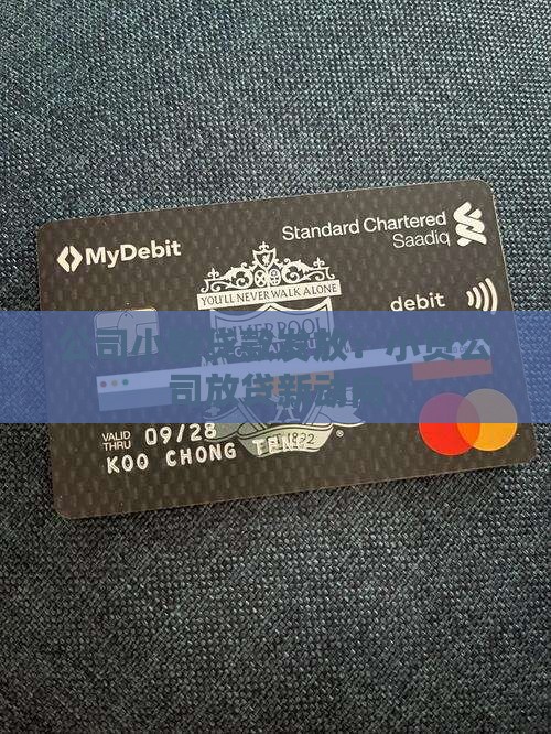 向小贷公司发放贷款