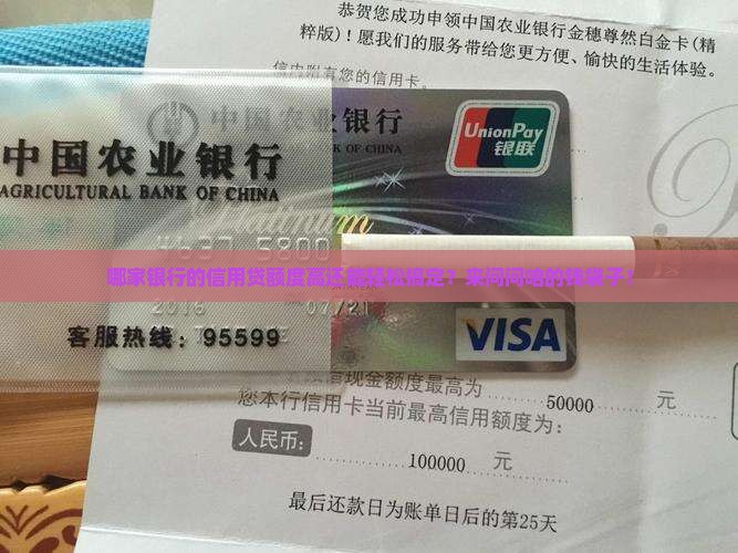 哪个银行信用贷款额度高且好申请