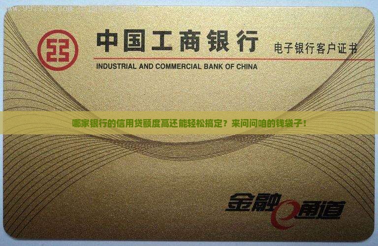 哪个银行信用贷款额度高且好申请