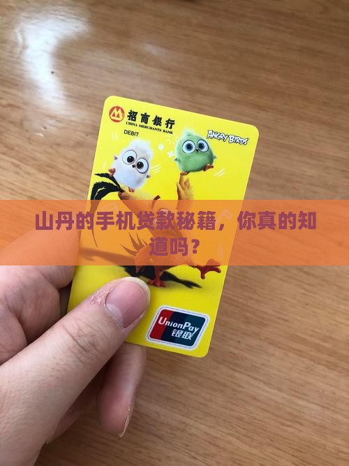 山丹手机贷款方式