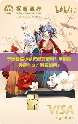 宁德精信小额贷款