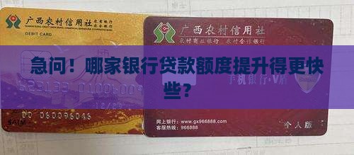 哪个银行贷款提额快点呢