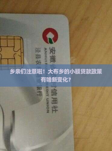 大布乡小额贷款政策最新
