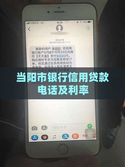 当阳市银行信用贷款