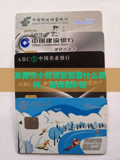 发薪贷小额贷款需要什么 发薪贷小额贷款需要什么