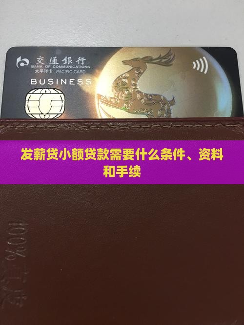 发薪贷小额贷款需要什么 发薪贷小额贷款需要什么