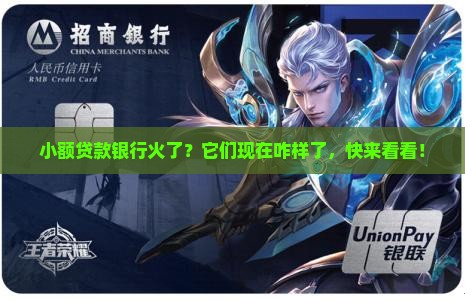 小额贷款银行的发展现状分析