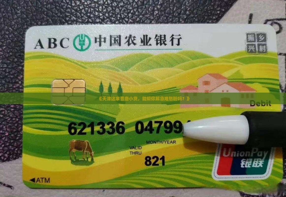 天津市晋唐小额贷款