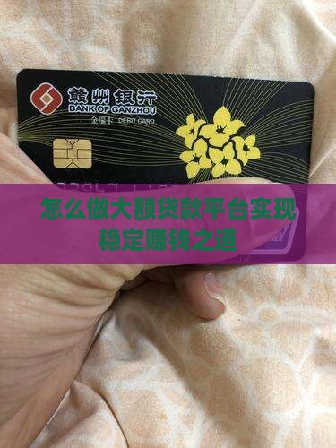 怎么做大额贷款平台赚钱