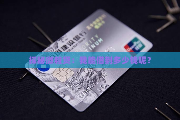 微粒贷能贷款多少