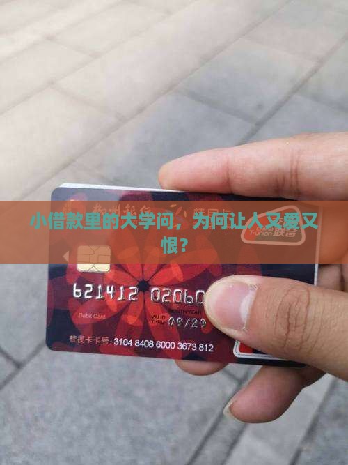 小额贷款高数