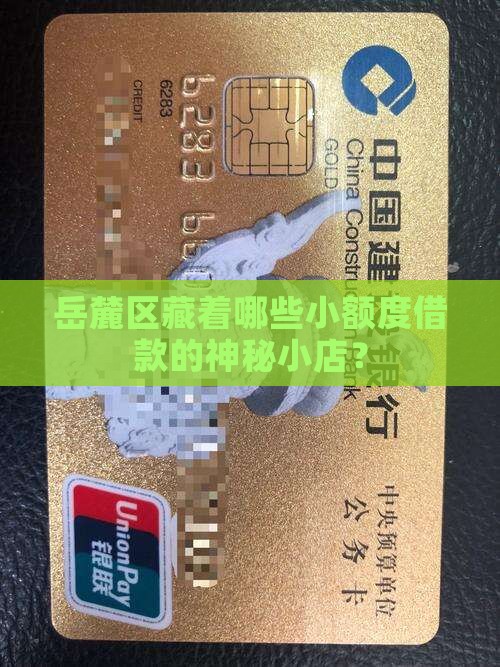 岳麓区小额贷款机构有哪些 岳麓区小额贷款机构有哪些