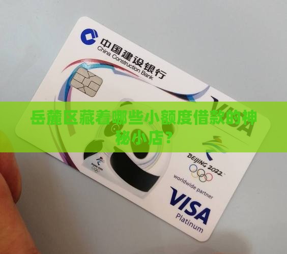 岳麓区小额贷款机构有哪些 岳麓区小额贷款机构有哪些