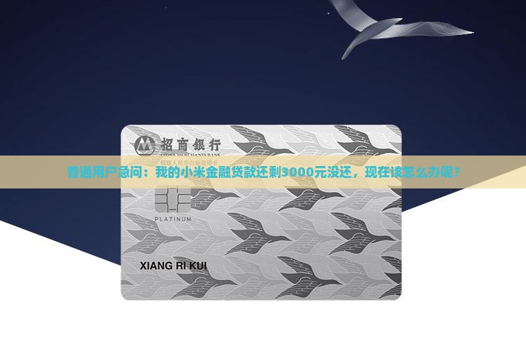 小米金融贷款没有还清
